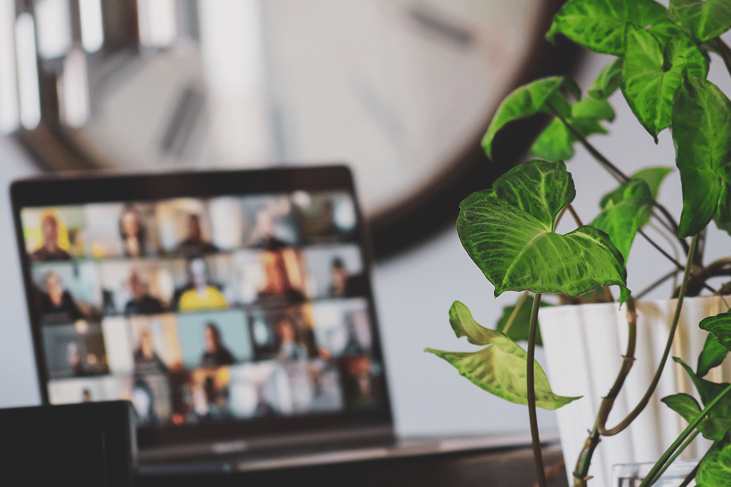A laptop hosting a virtual meeting is blurred in the background. Behind it is a large wall clock. In front is a green ivy plant in a white pot.